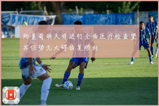 约基奇明天将进行全面医疗检查望其伤势无大碍恢复顺利