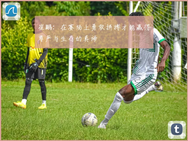 崔鹏：在赛场上勇敢拼搏才能赢得尊严与生存的真谛