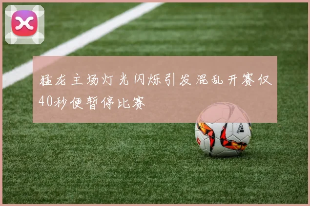 猛龙主场灯光闪烁引发混乱开赛仅40秒便暂停比赛