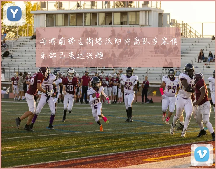 海港前锋古斯塔沃即将离队多家俱乐部已表达兴趣