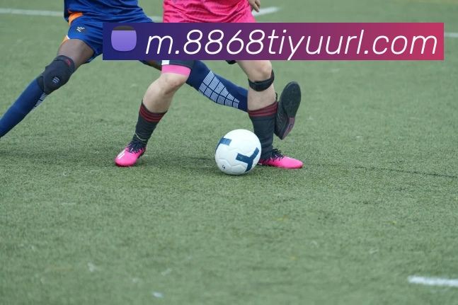 8868体育平台生态图